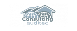 Logo Consulting Auditec